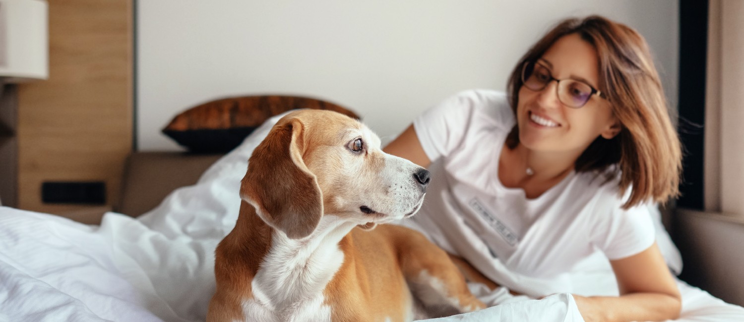 BRING YOUR FOUR-LEGGED BEST FRIEND ALONG FOR A COASTAL ADVENTURE